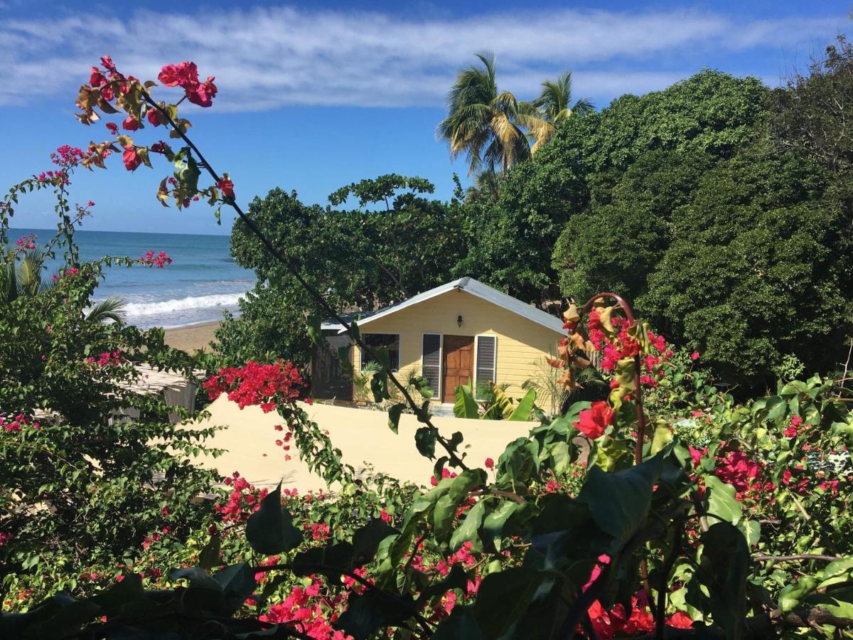 Katamah Beachfront Guesthouse Treasure Beach Extérieur photo